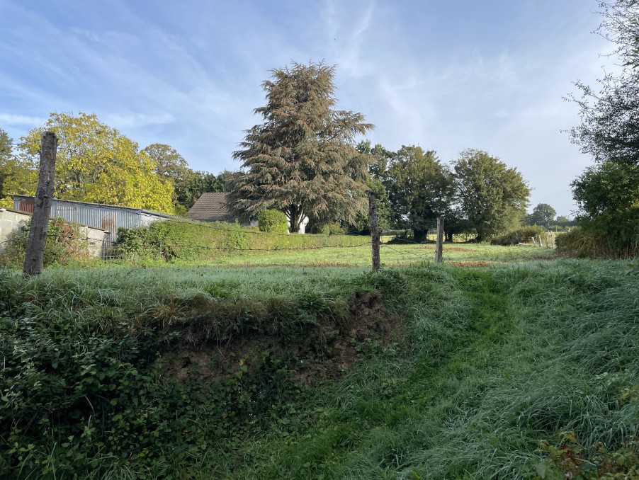 Vente Terrain à la Chapelle-d'Andaine 0 pièce