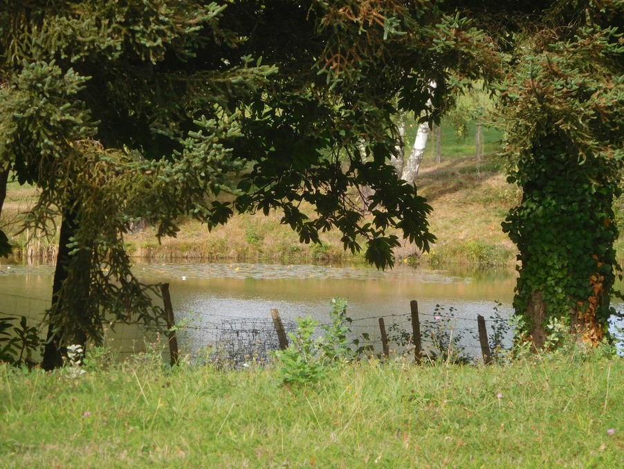 Vente Terrain à Saint-Yrieix-la-Perche 0 pièce