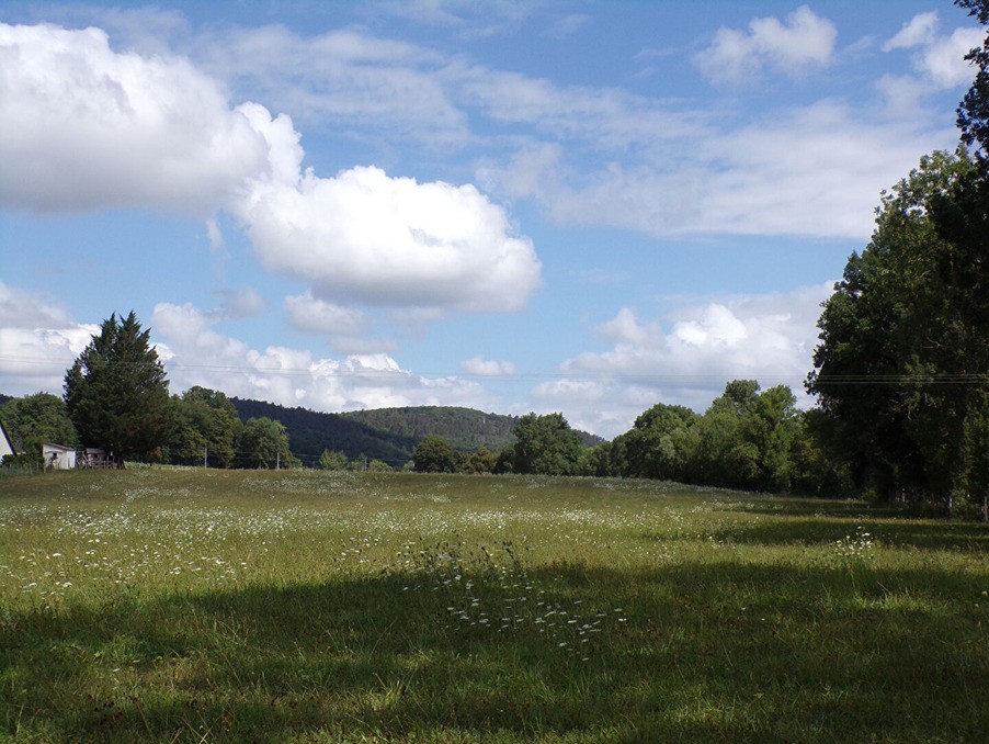 Vente Terrain à Villereversure 0 pièce