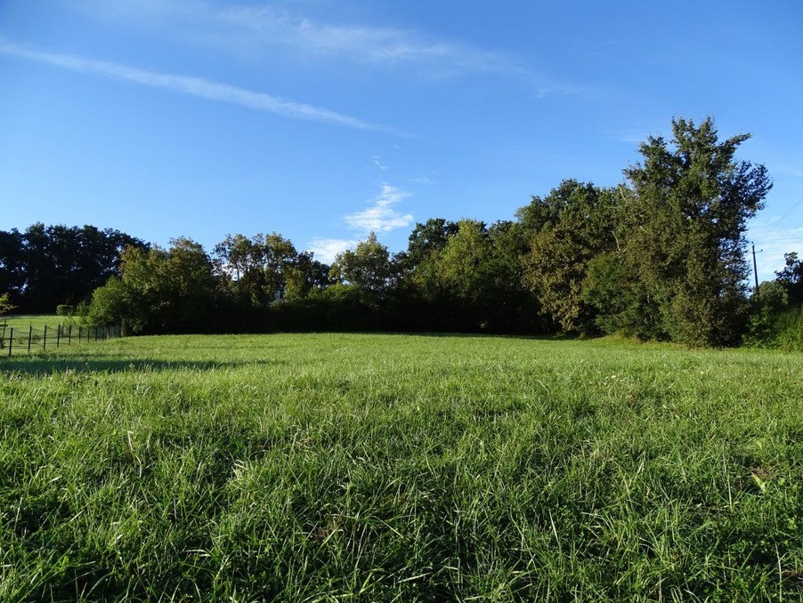 Vente Terrain à l'Isle-Jourdain 0 pièce