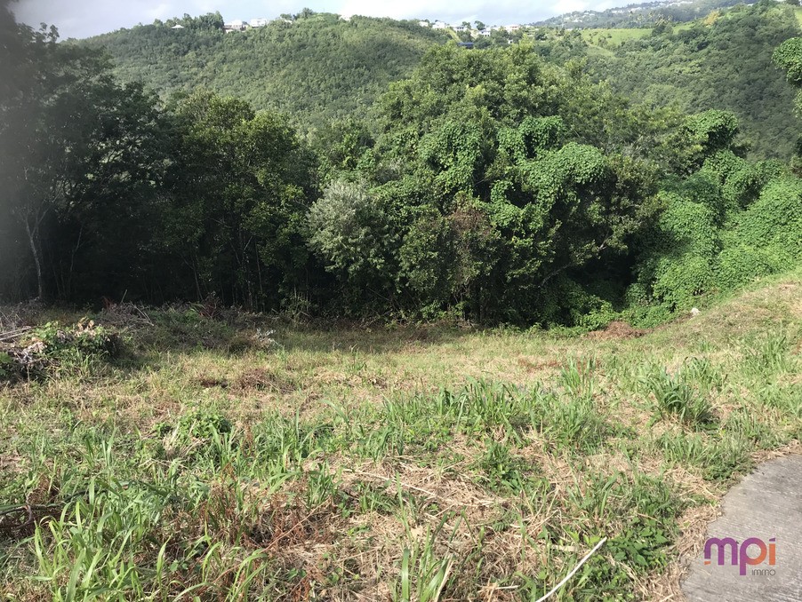 Vente Terrain à Sainte-Luce 0 pièce