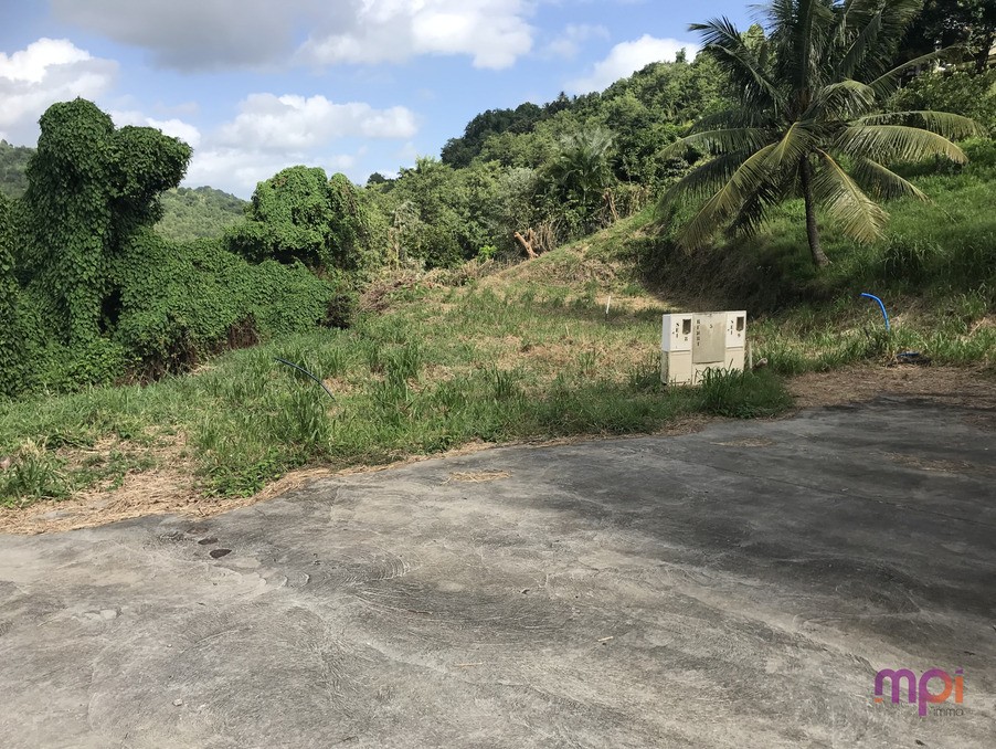 Vente Terrain à Sainte-Luce 0 pièce