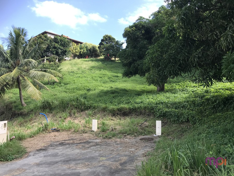 Vente Terrain à Sainte-Luce 0 pièce