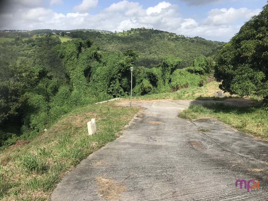 Vente Terrain à Sainte-Luce 0 pièce