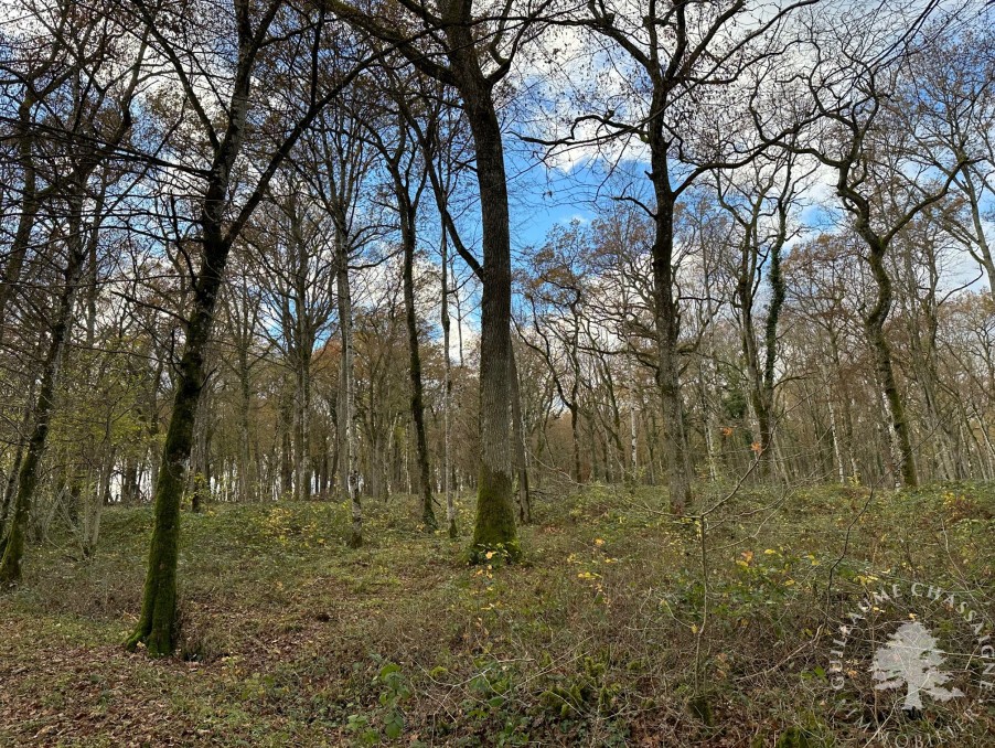 Vente Terrain à Bourges 0 pièce