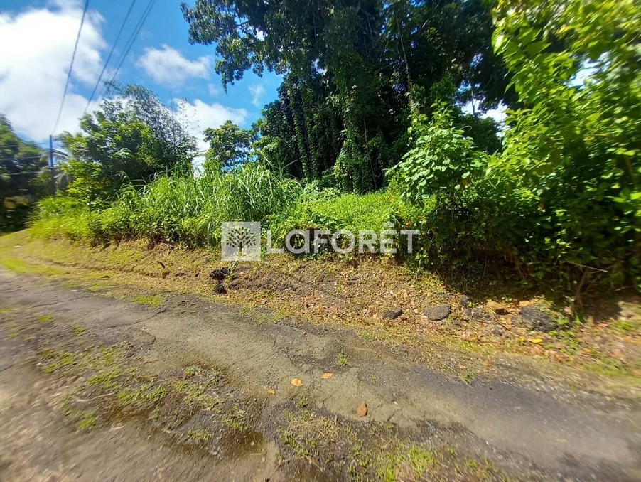 Vente Terrain à le Robert 0 pièce