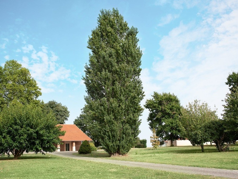 Vente Maison à Caussade 7 pièces