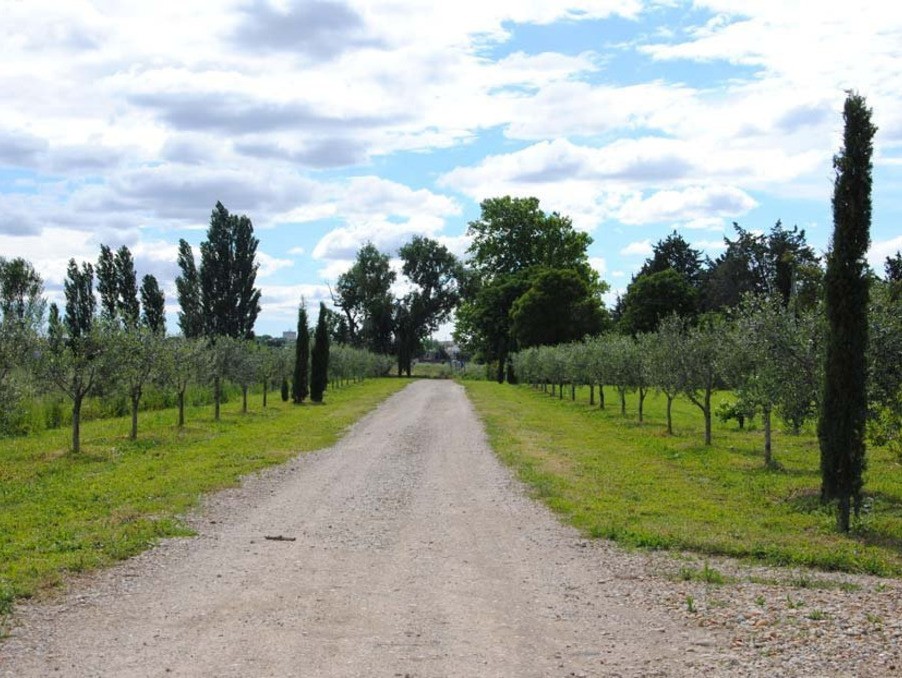 Vente Maison à Arles 18 pièces