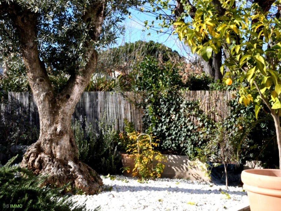 Vente Maison à Pézenas 3 pièces