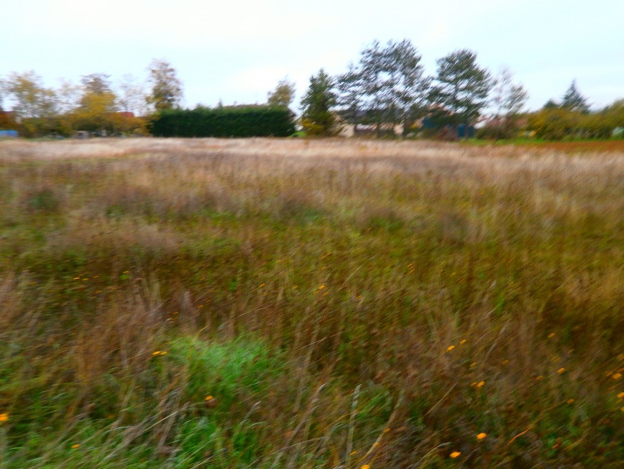 Vente Terrain à Reuilly 0 pièce