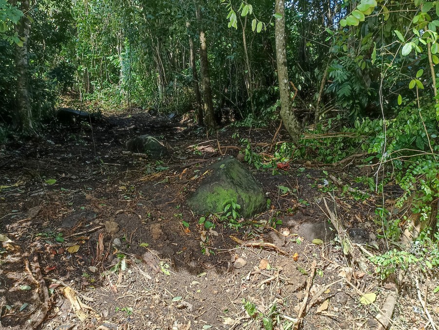 Vente Terrain à Sainte-Luce 0 pièce