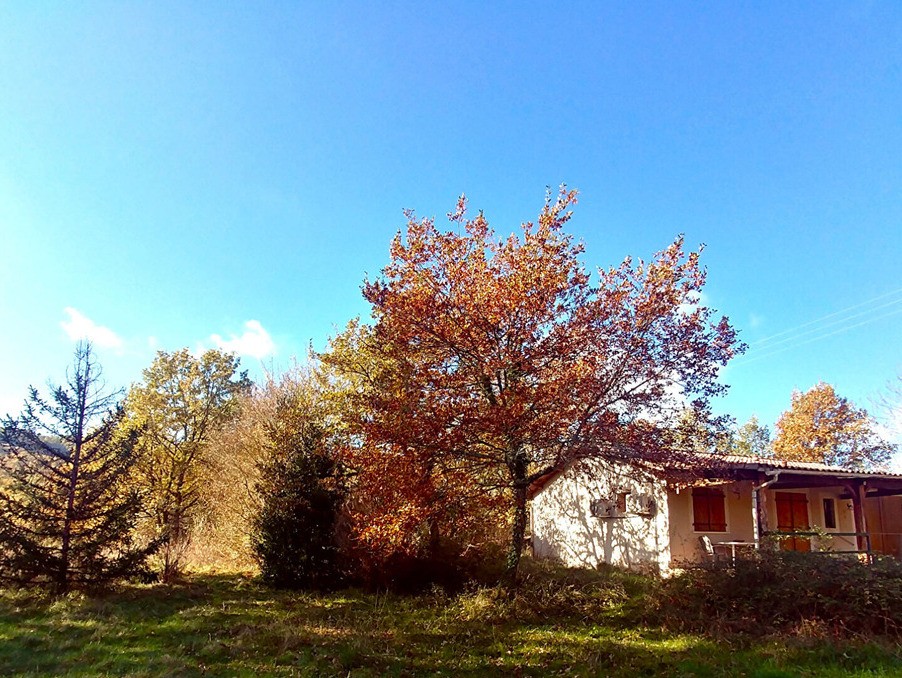 Vente Maison à Saint-Antonin-Noble-Val 2 pièces