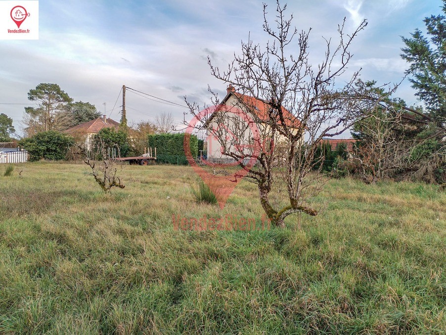 Vente Terrain à Vignoux-sur-Barangeon 0 pièce