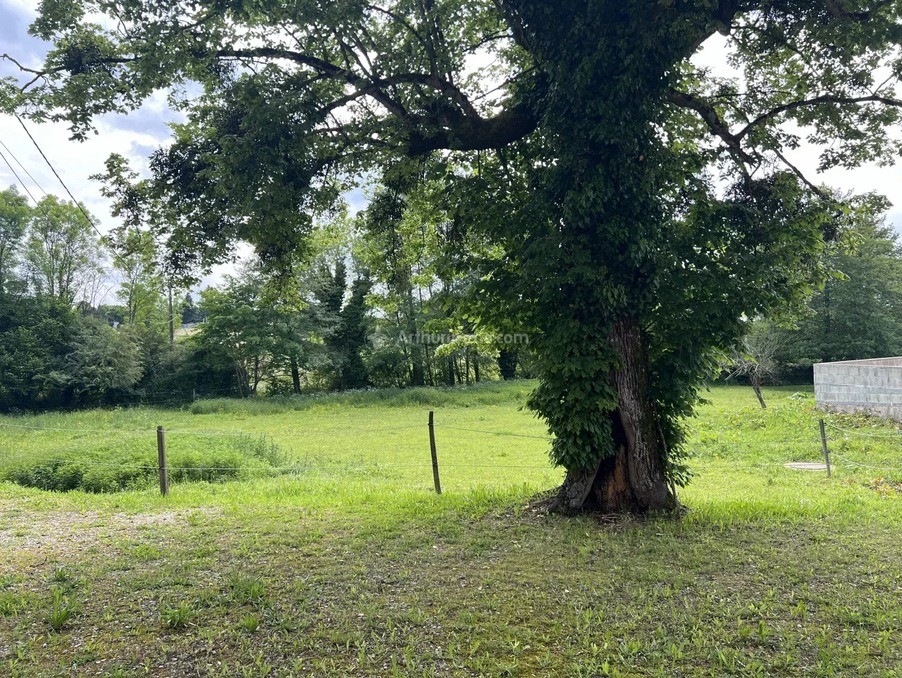 Vente Maison à Badinières 14 pièces