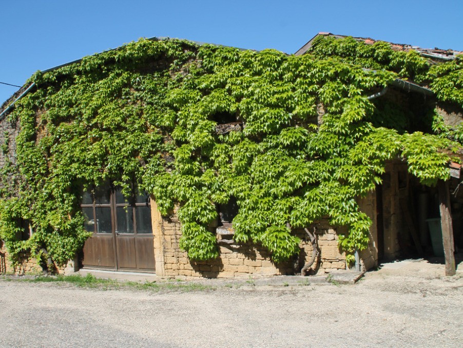 Vente Maison à Longuyon 8 pièces