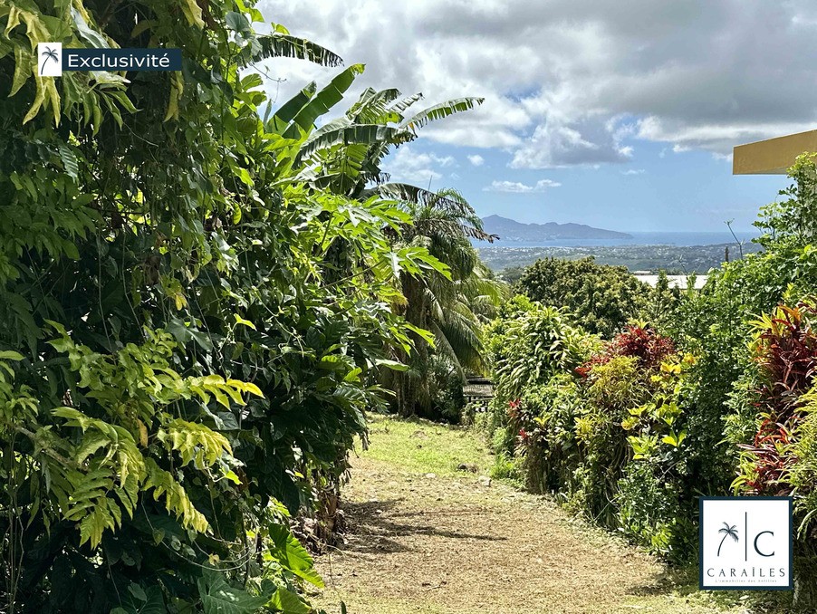 Vente Terrain à le Robert 0 pièce