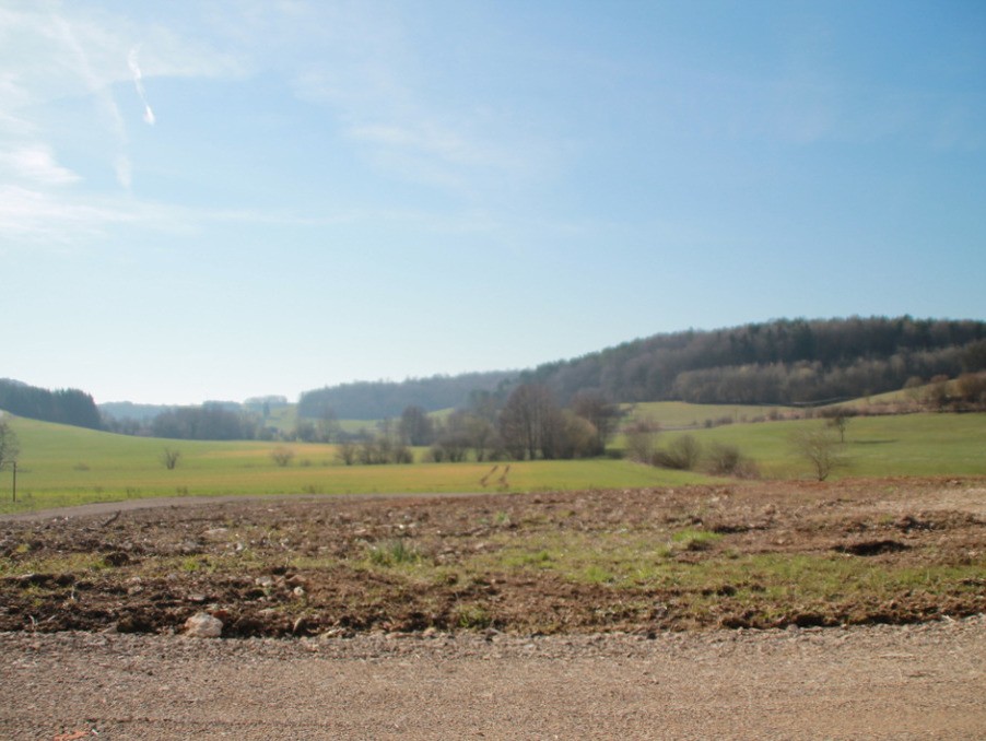 Vente Terrain à Fresnes-en-Woëvre 0 pièce