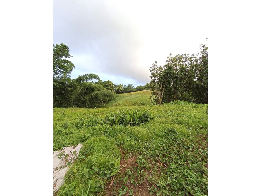 Vente Terrain à Gros-Morne 0 pièce