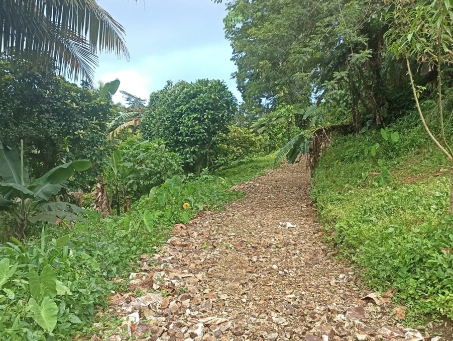 Vente Terrain à Gros-Morne 0 pièce