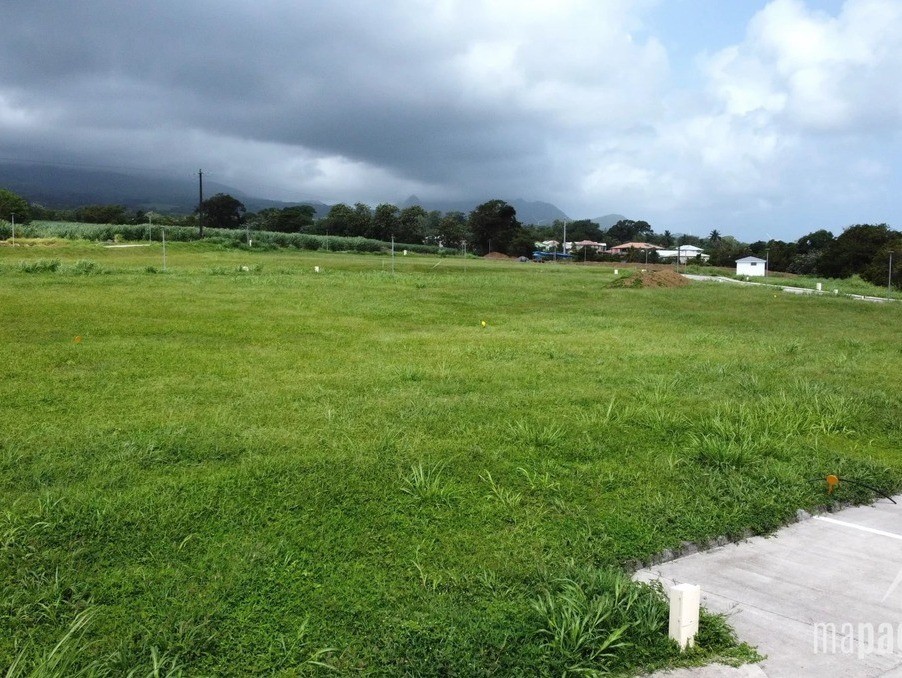 Vente Terrain à Basse-Pointe 0 pièce