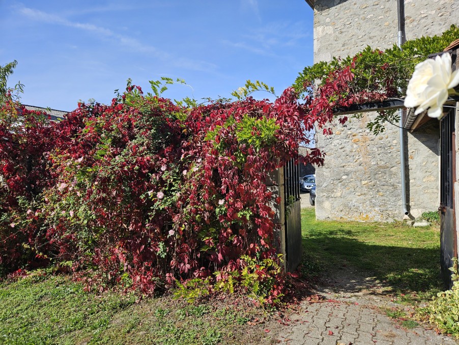 Vente Maison à Yenne 15 pièces