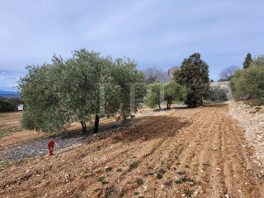 Vente Terrain à Saint-Saturnin-lès-Apt 0 pièce