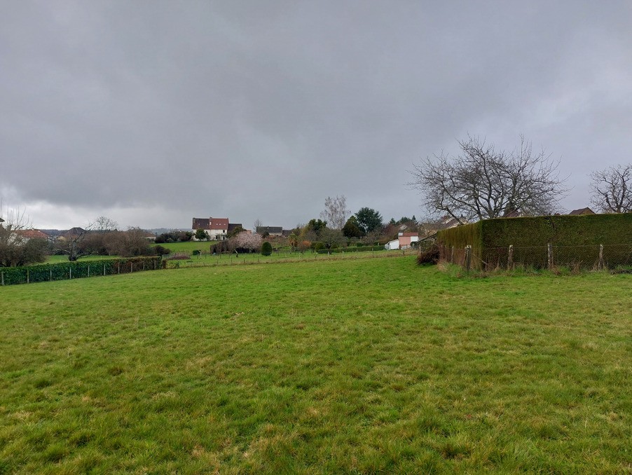 Vente Terrain à Saint-Yrieix-la-Perche 0 pièce