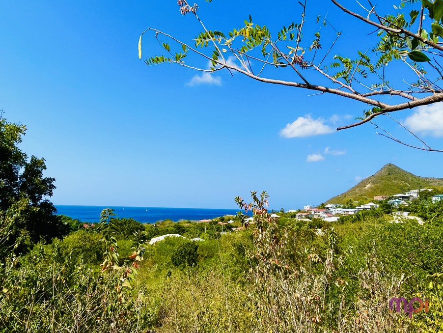 Vente Terrain à les Anses-d'Arlet 0 pièce