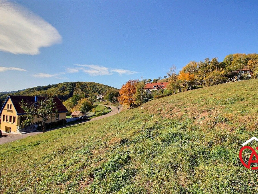 Vente Terrain à Breitenbach 0 pièce