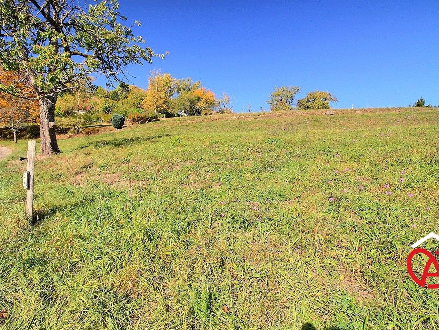 Vente Terrain à Breitenbach 0 pièce