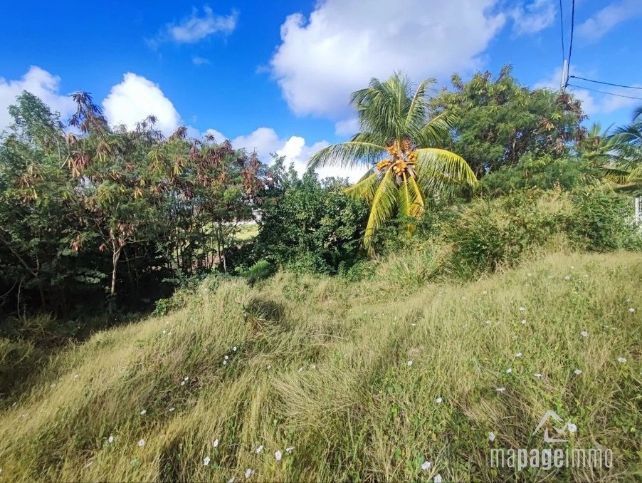 Vente Terrain à le Marin 0 pièce