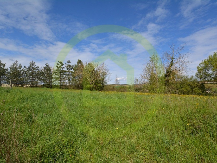 Vente Terrain à Beaumont-de-Lomagne 0 pièce