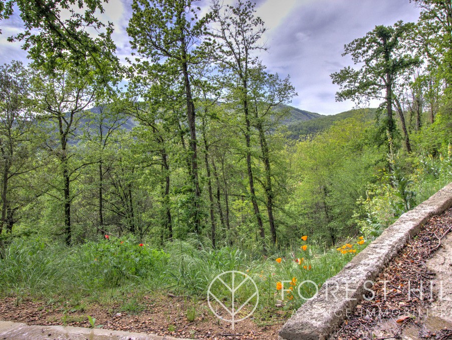 Vente Terrain à Maureillas-las-Illas 0 pièce