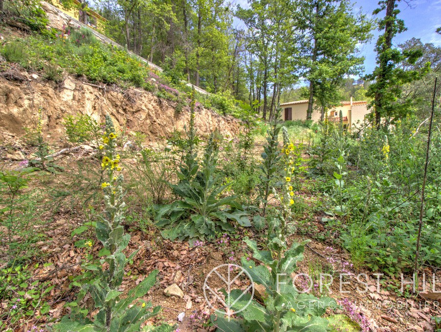 Vente Terrain à Maureillas-las-Illas 0 pièce