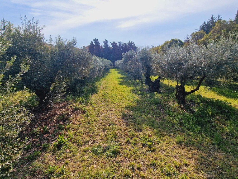 Vente Maison à Narbonne 8 pièces