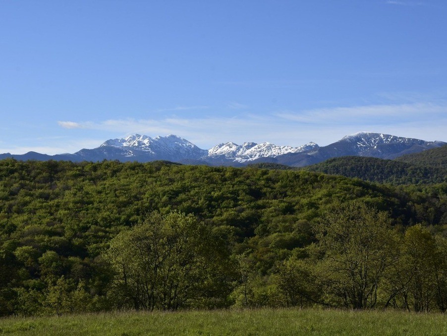 Vente Maison à Ventenac 20 pièces