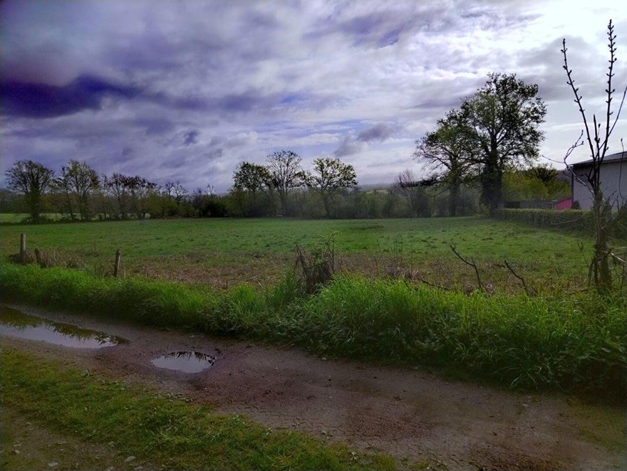 Vente Terrain à Chassenon 0 pièce