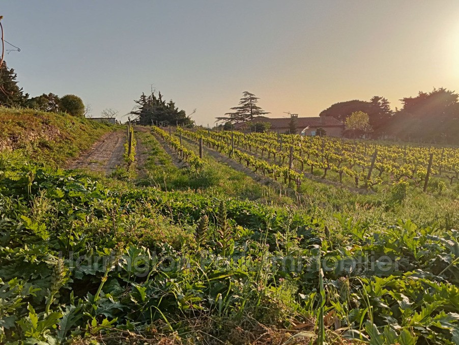 Vente Maison à Cassis 4 pièces