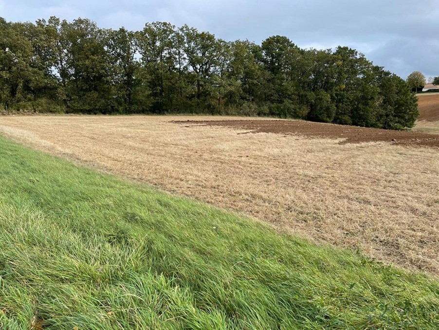 Vente Terrain à Maintenon 0 pièce