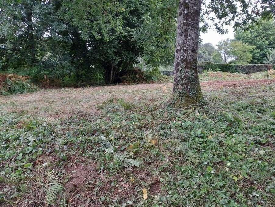 Vente Terrain à la Chapelle-d'Andaine 0 pièce