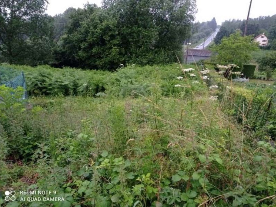 Vente Terrain à la Chapelle-d'Andaine 0 pièce