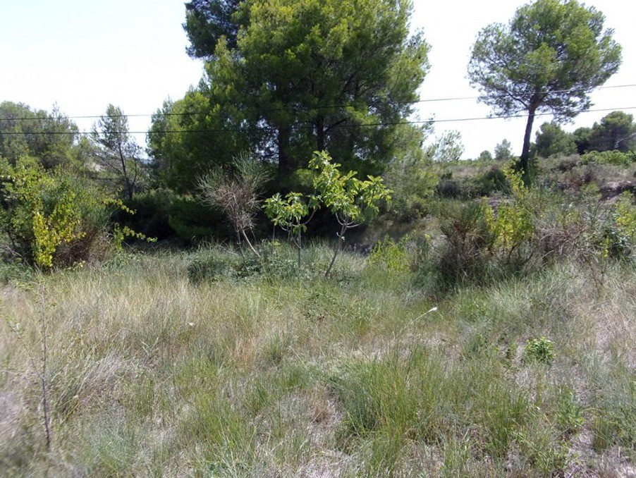 Vente Terrain à Saint-Pons-de-Mauchiens 0 pièce