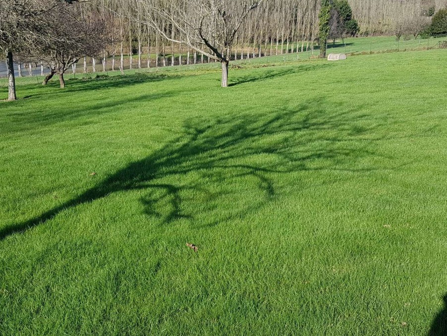 Vente Terrain à Château-Gontier 0 pièce