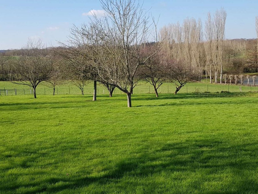 Vente Terrain à Château-Gontier 0 pièce