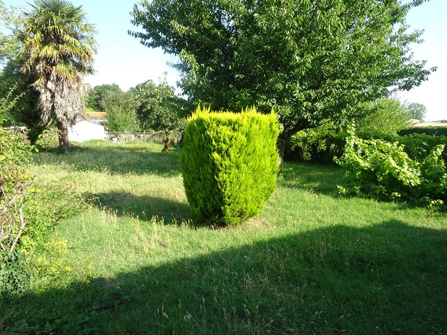 Vente Terrain à Saint-Palais-sur-Mer 0 pièce