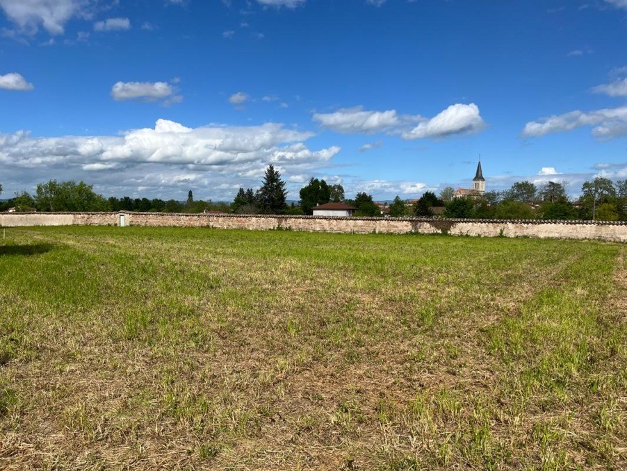 Vente Terrain à Boën-sur-Lignon 1 pièce