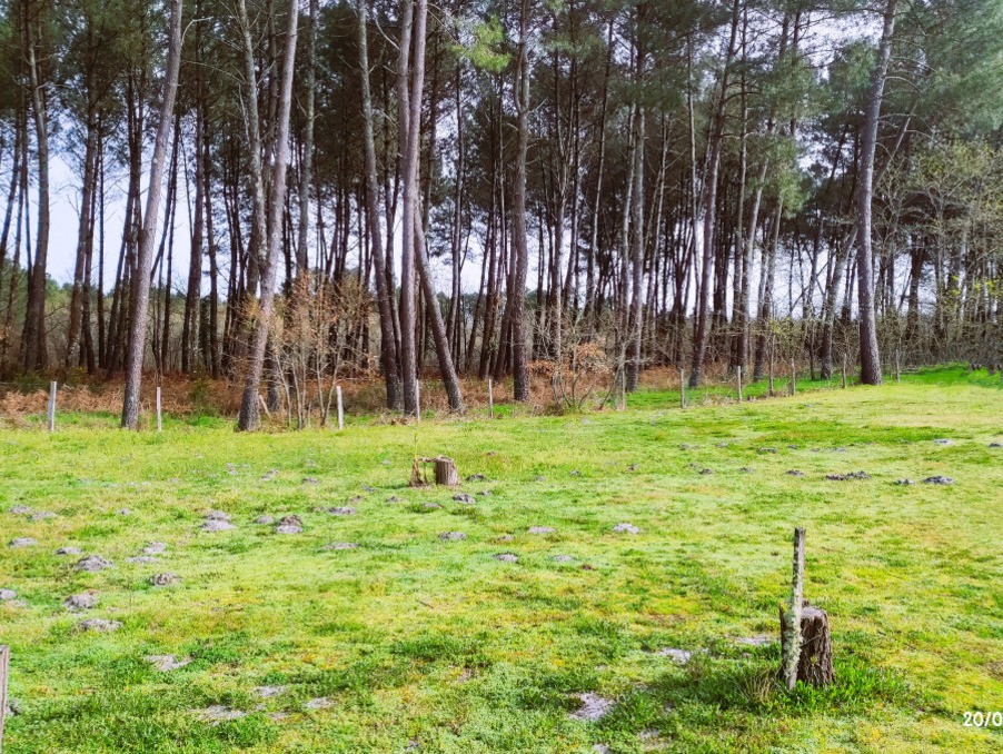 Vente Terrain à Saint-Symphorien 0 pièce