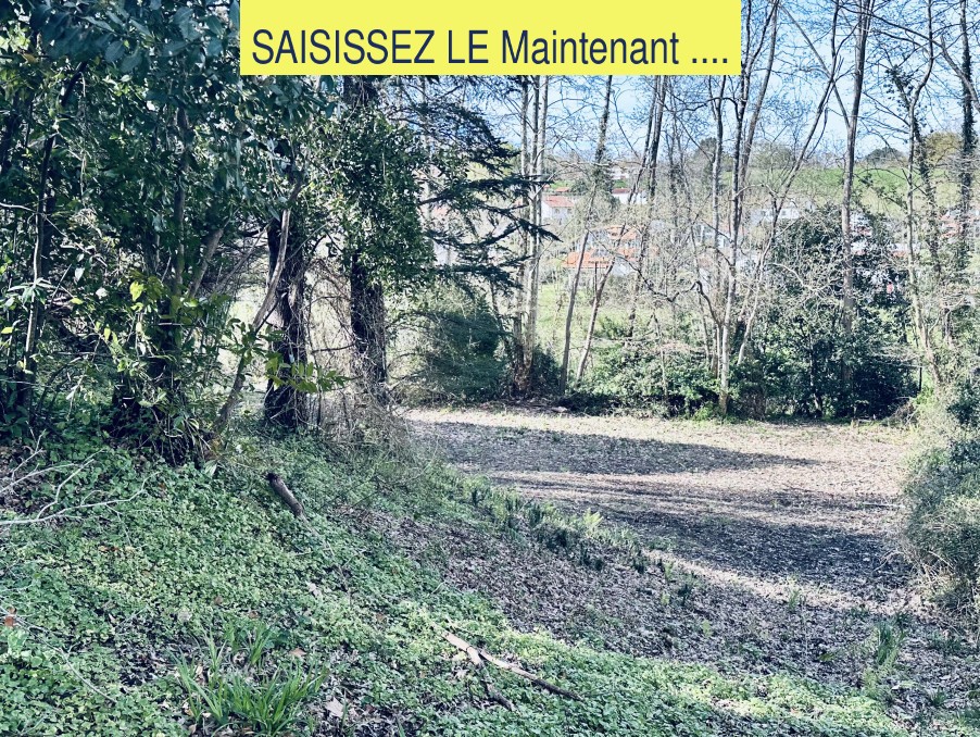 Vente Terrain à Bassussarry 0 pièce