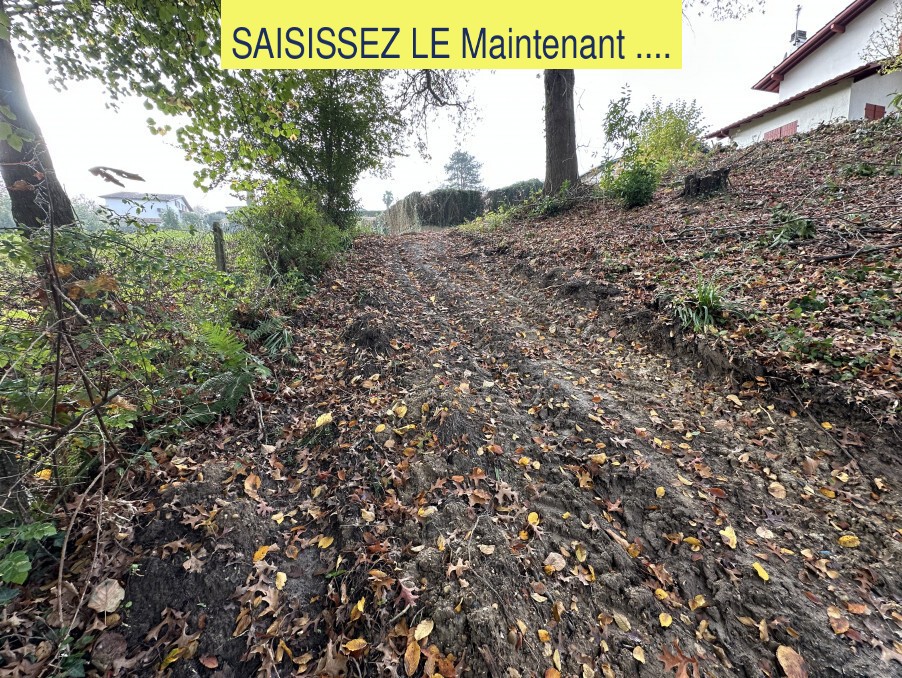 Vente Terrain à Bassussarry 0 pièce