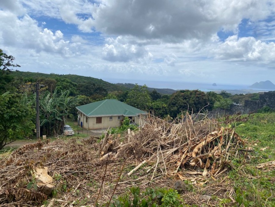 Vente Terrain à Sainte-Luce 0 pièce